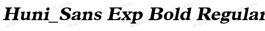 Huni_Sans Exp Bold Regular字体转换